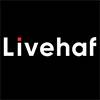  LIVEHAF | TopKarir.com
